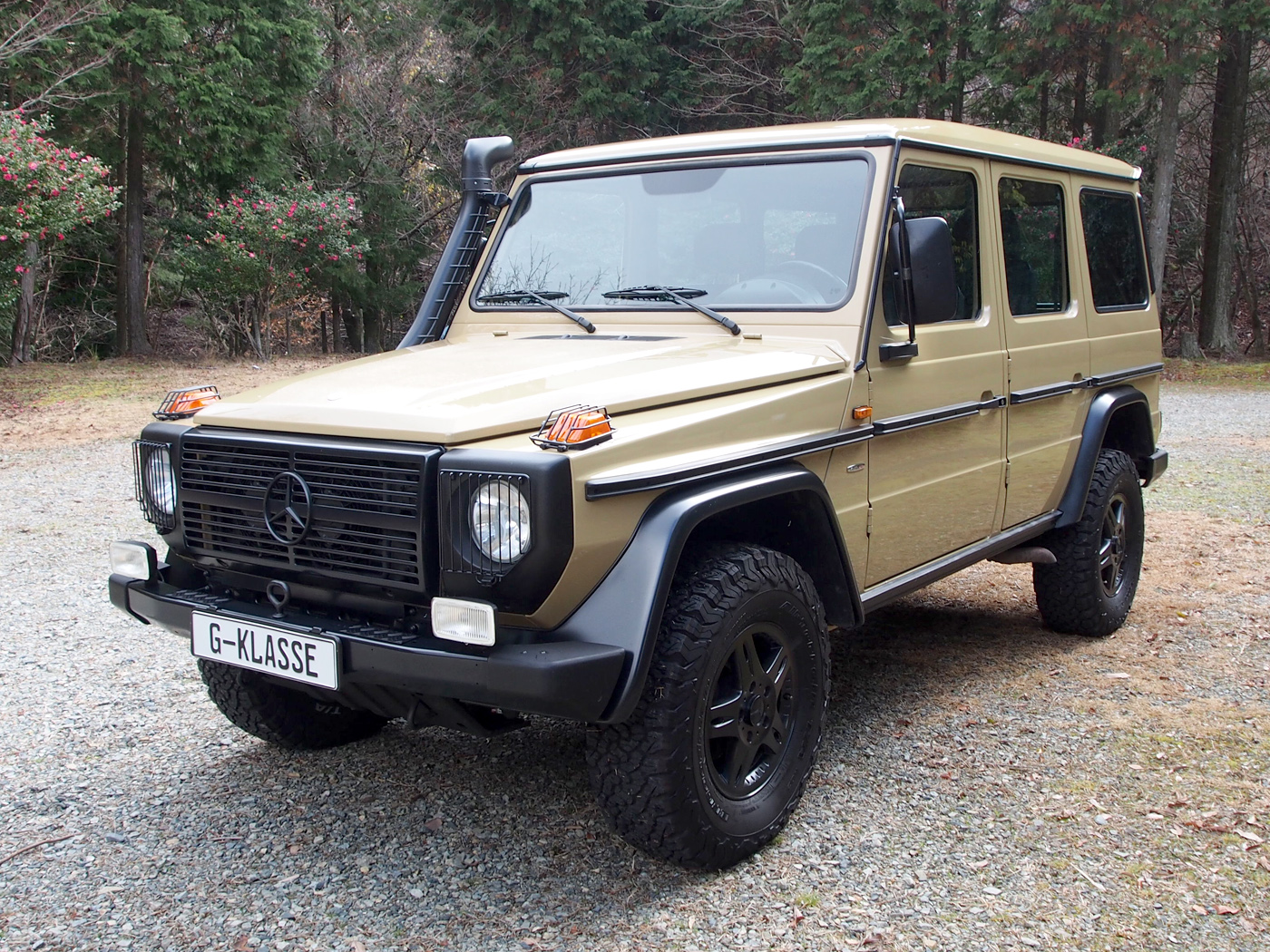 G280cdi Edition 30.PUR