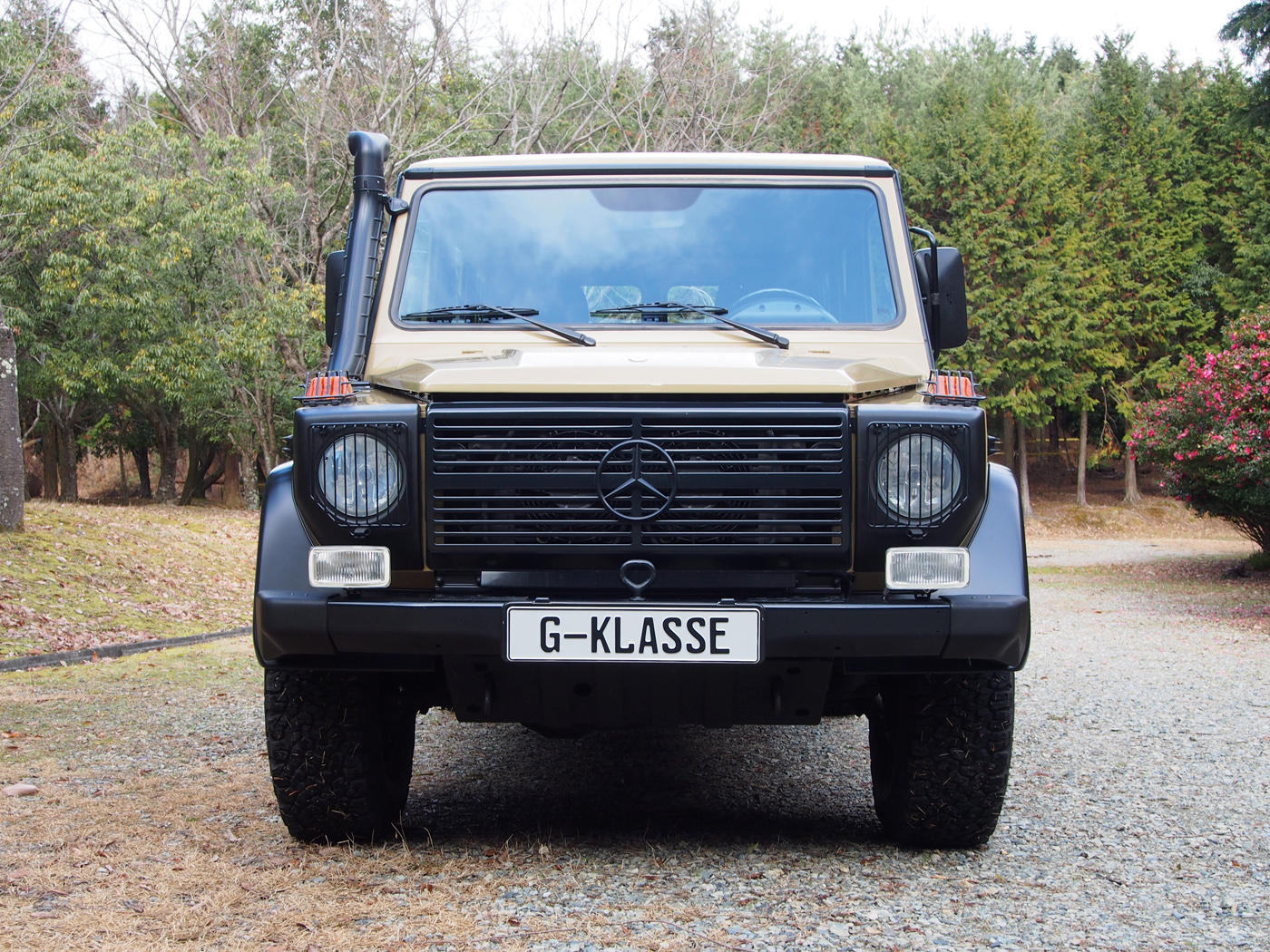 G280cdi Edition 30.PUR