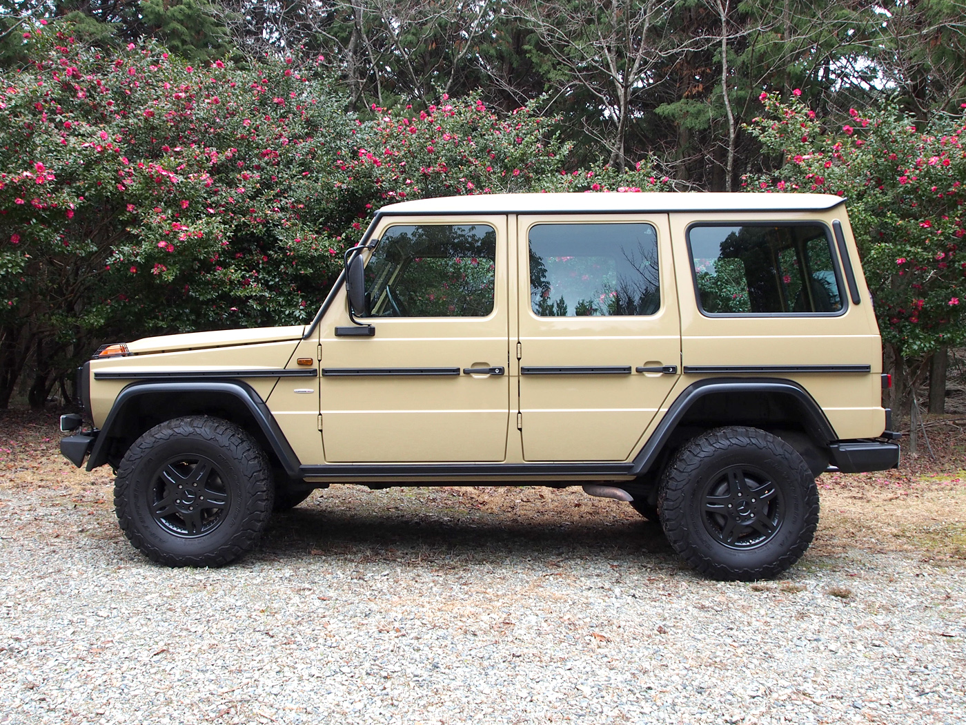 G280cdi Edition 30.PUR