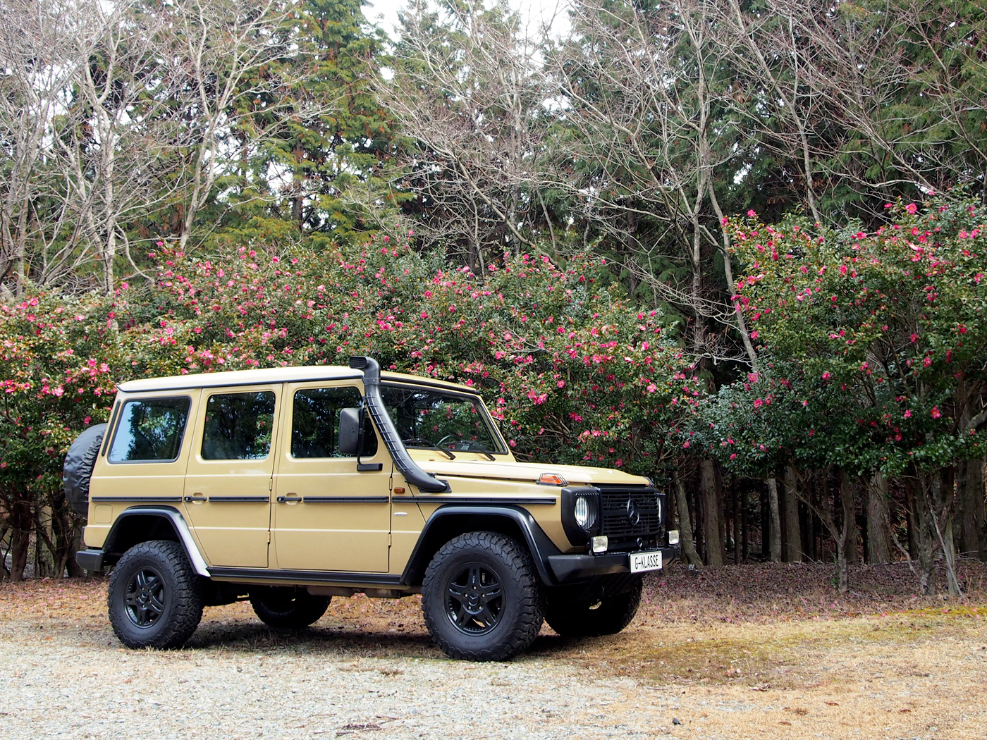 G280cdi Edition 30.PUR