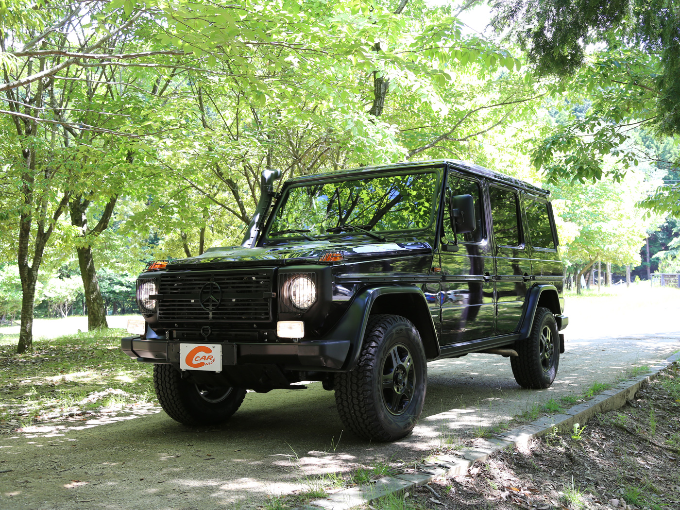 G300cdi Professional