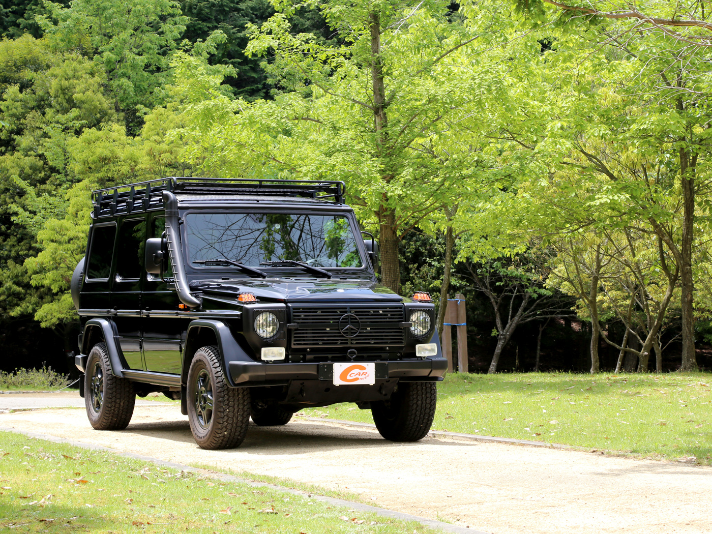 g300cdi Professional