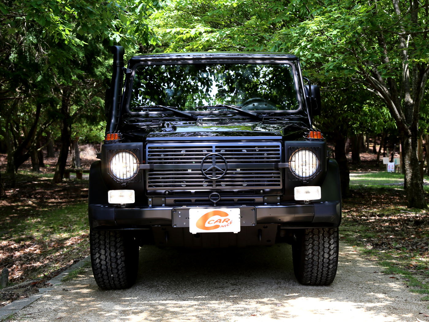 G300cdi Professional