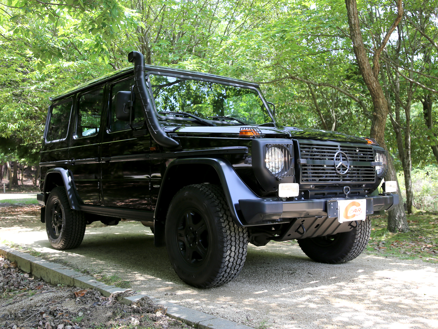 g300cdi Professional