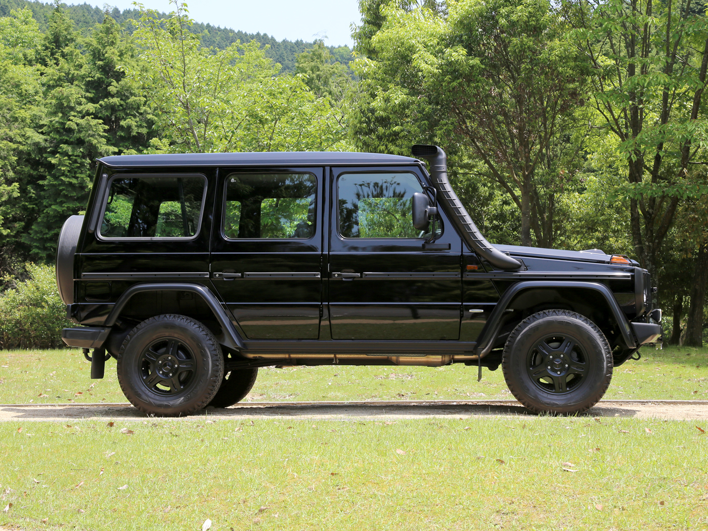 G300cdi Professional