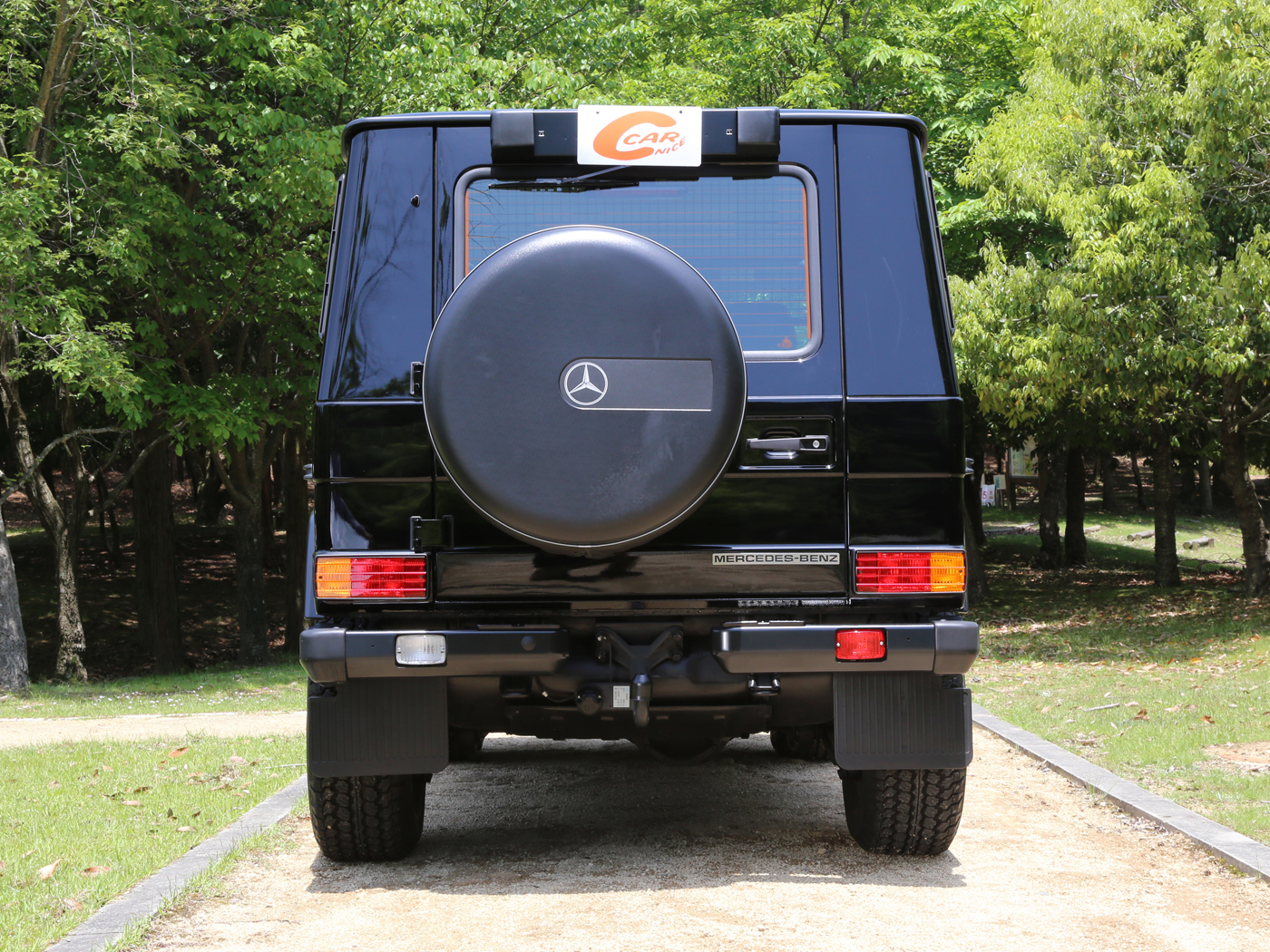 G300cdi Professional