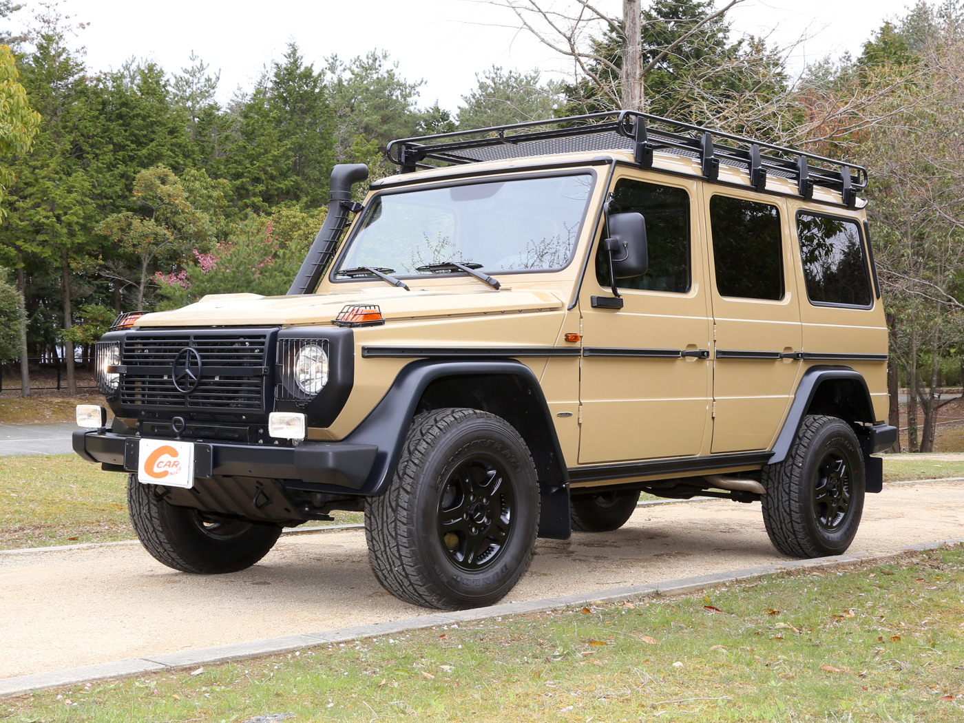 g300cdi Professional