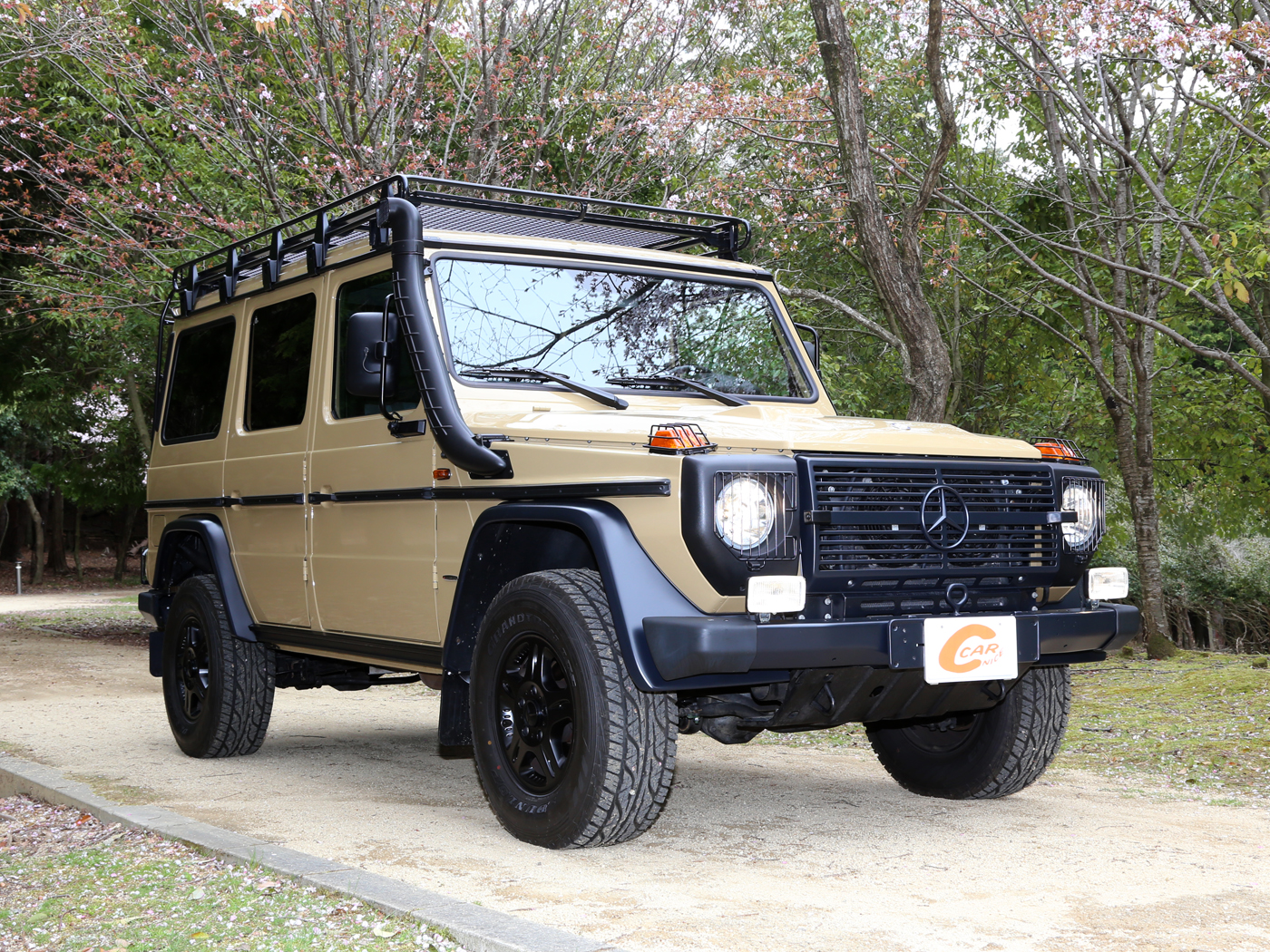 G300cdi Professional