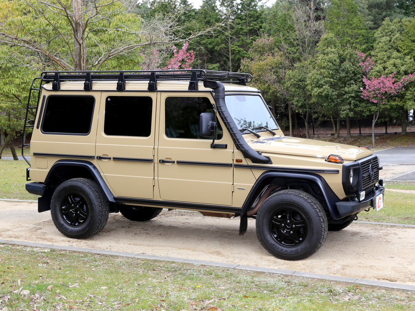 G300cdi Professional