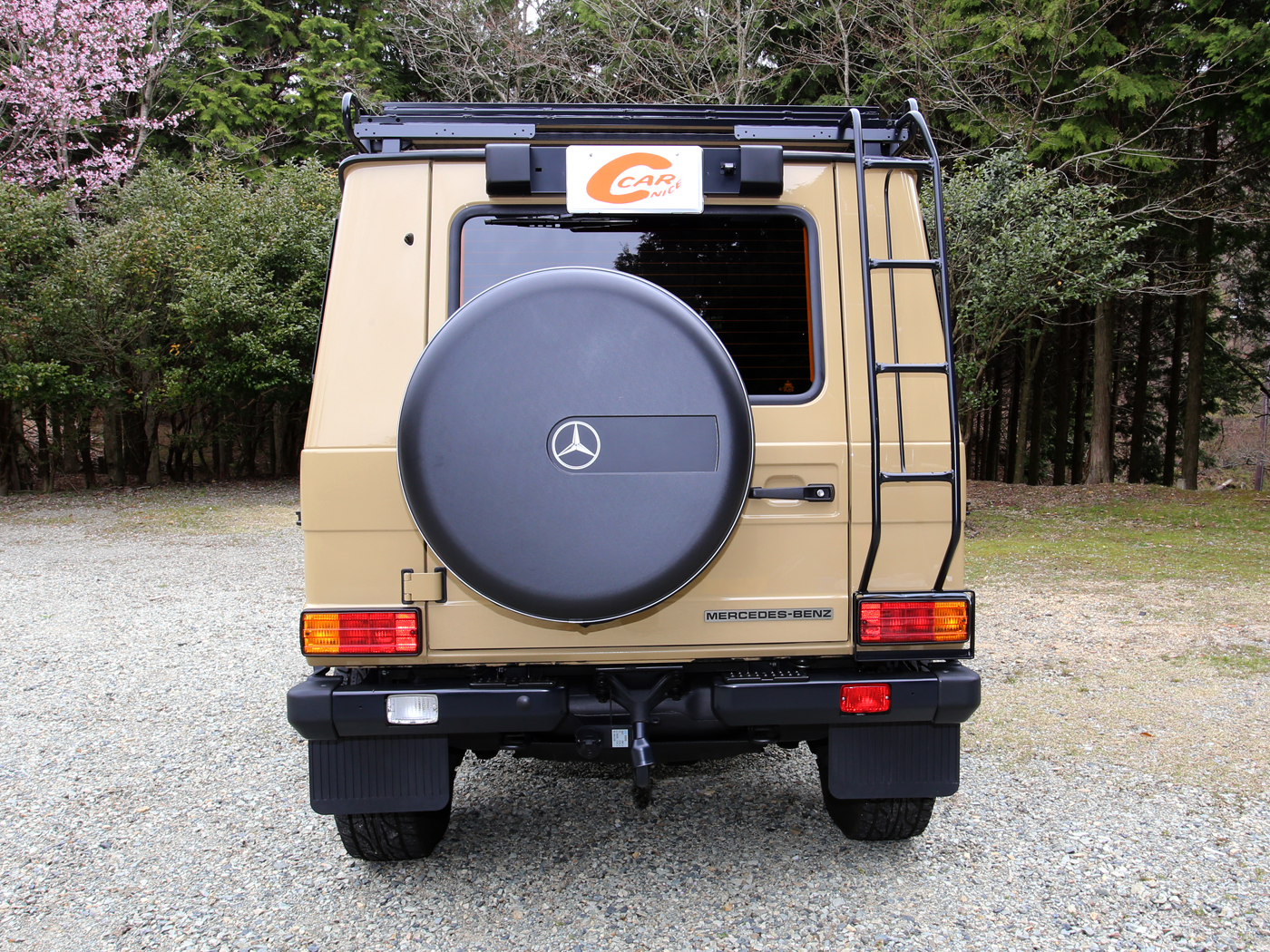 G300cdi Professional