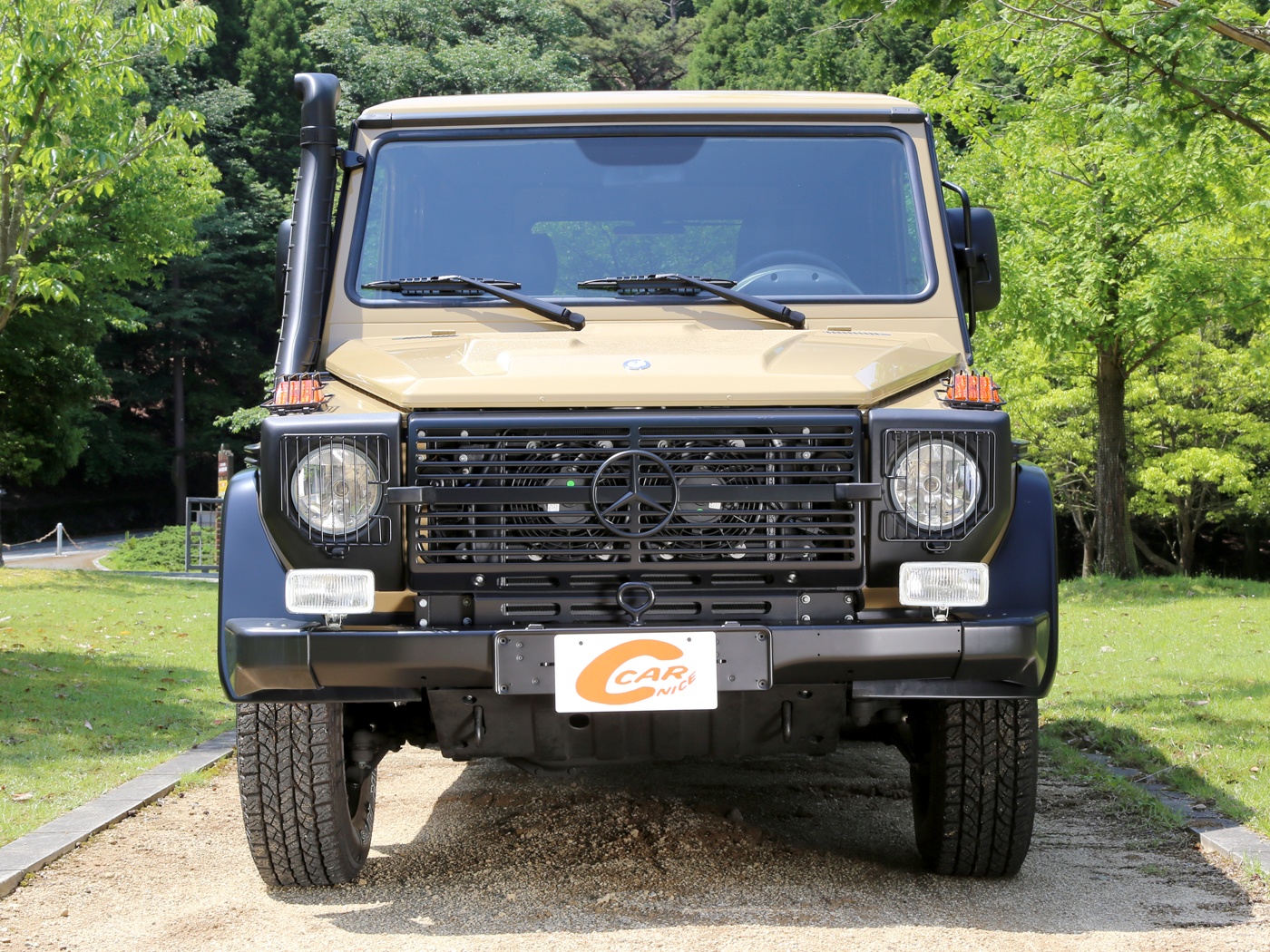 G300cdi Professional