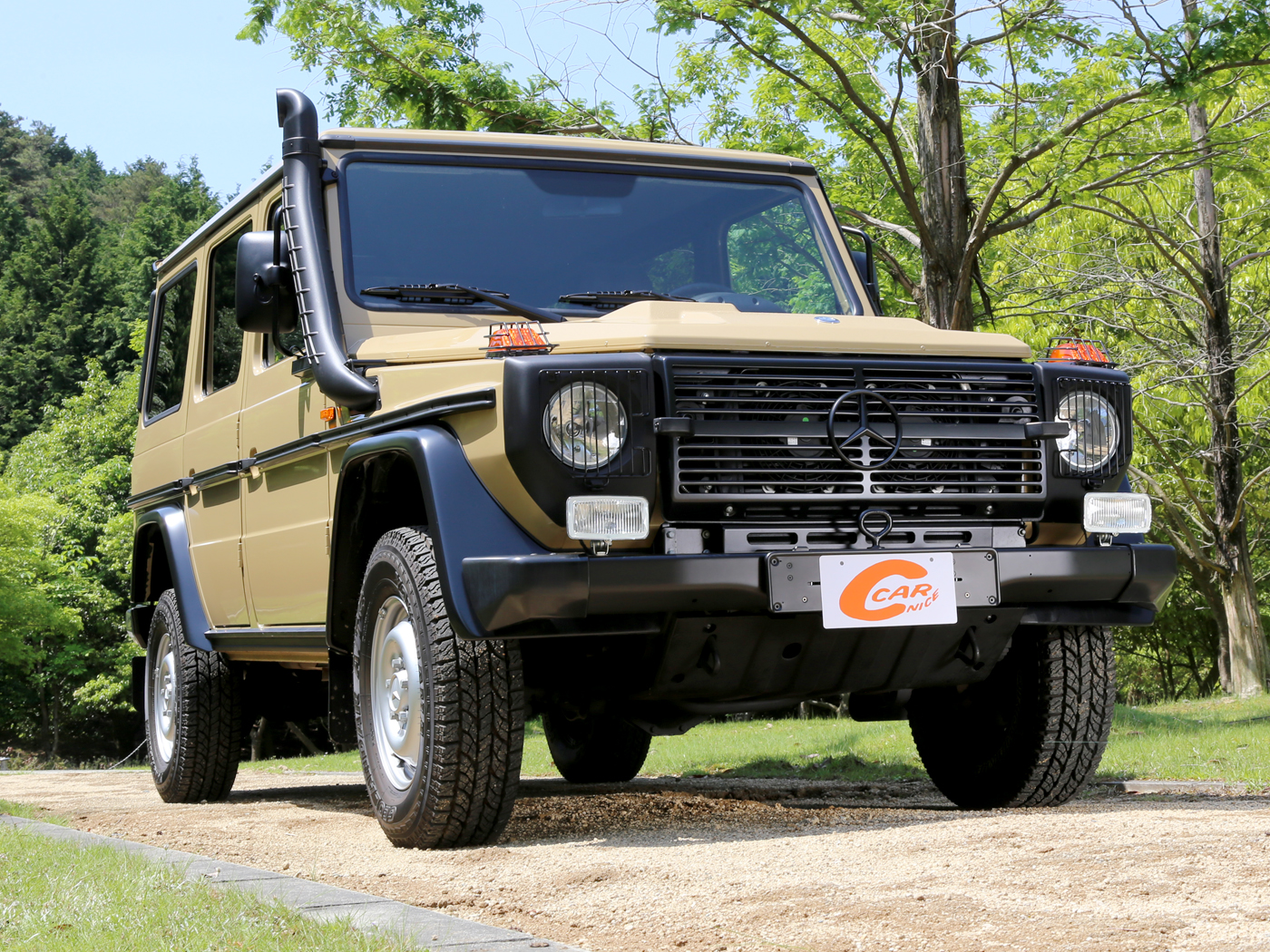 g300cdi Professional