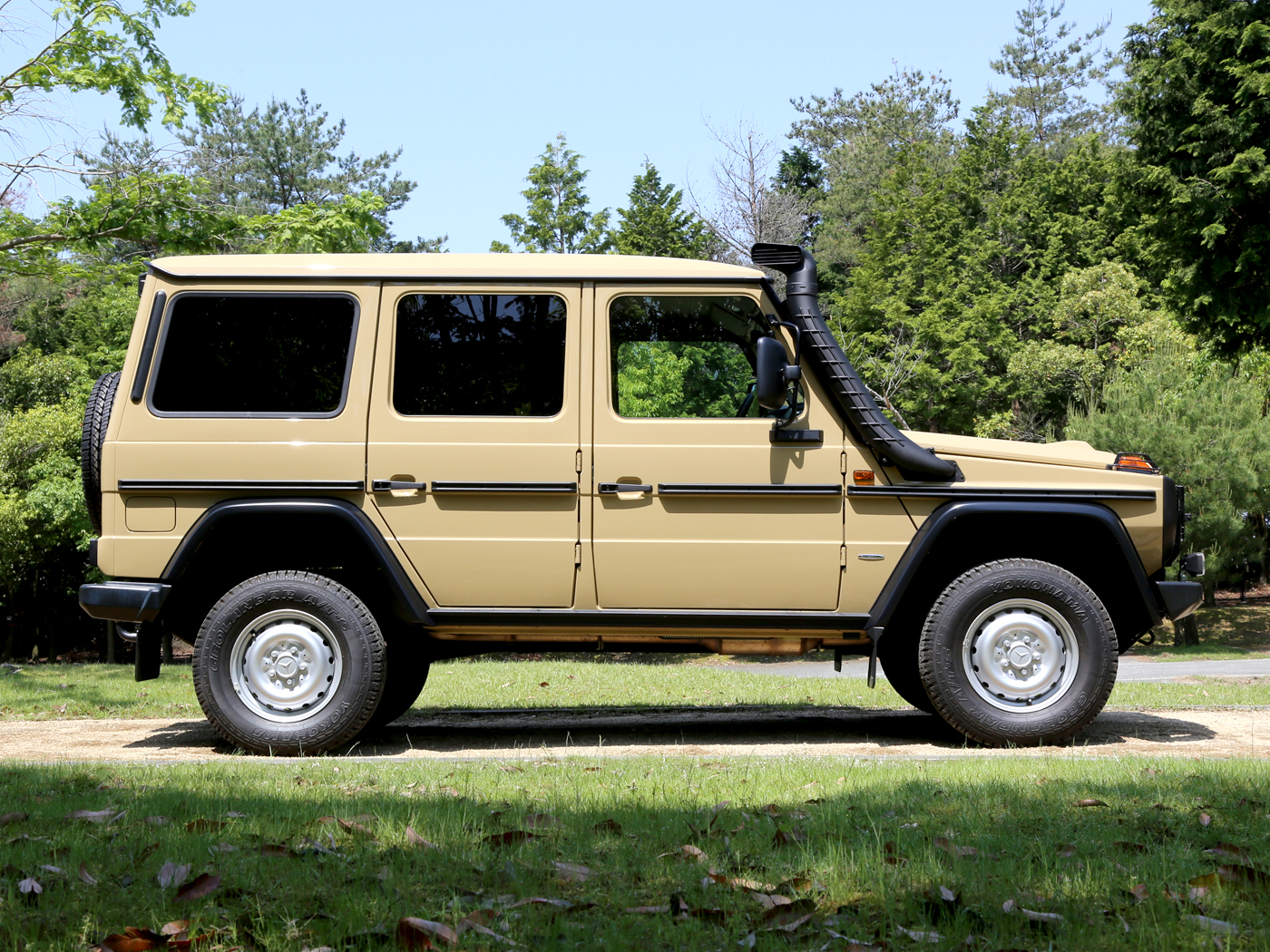 G300cdi Professional