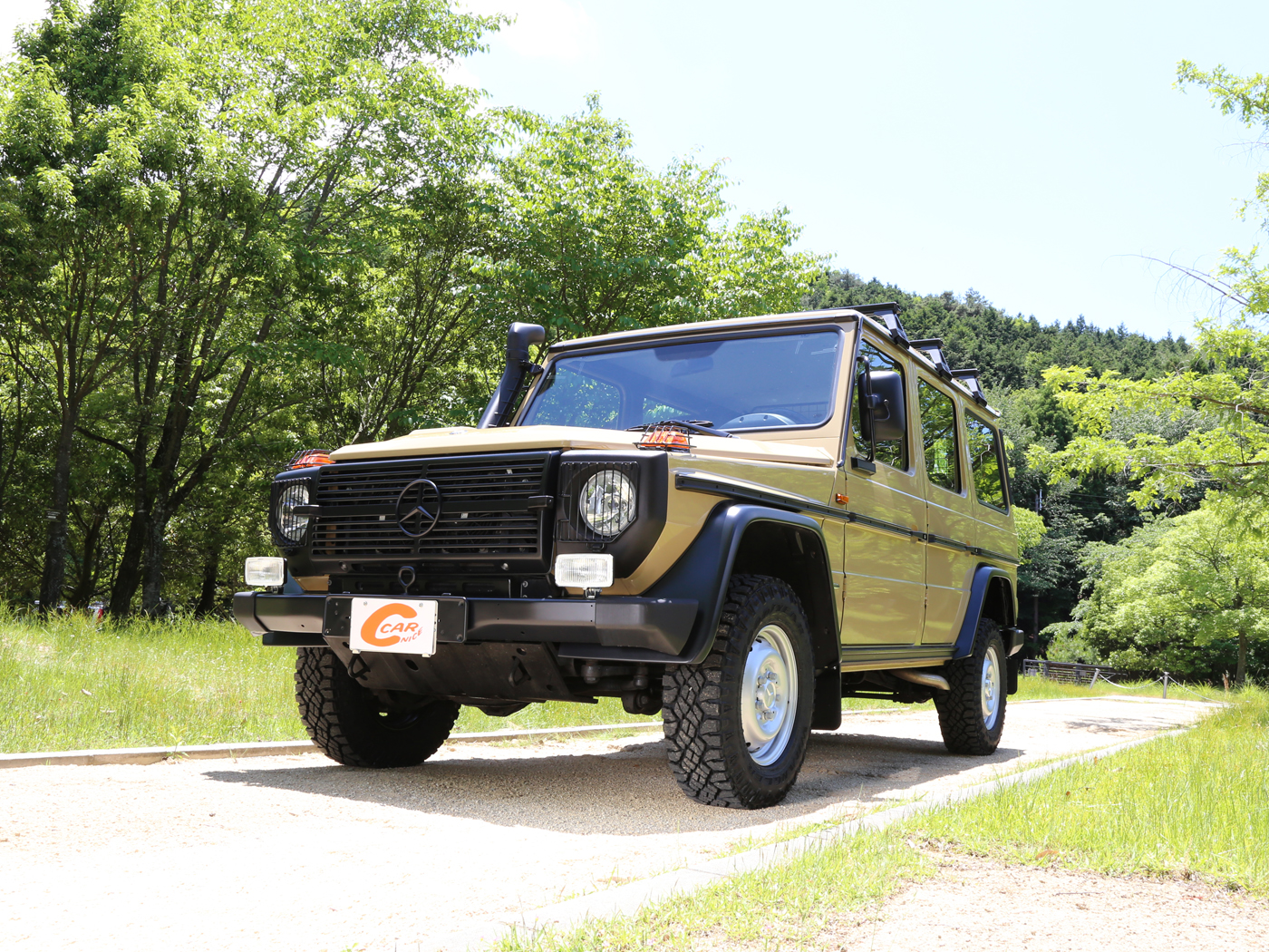 g300cdi Professional