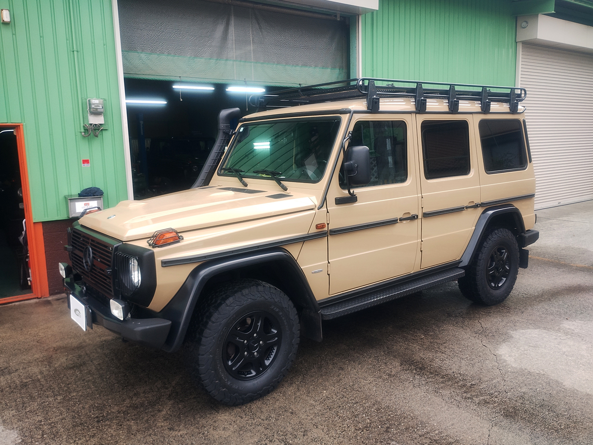 G300cdi Professional