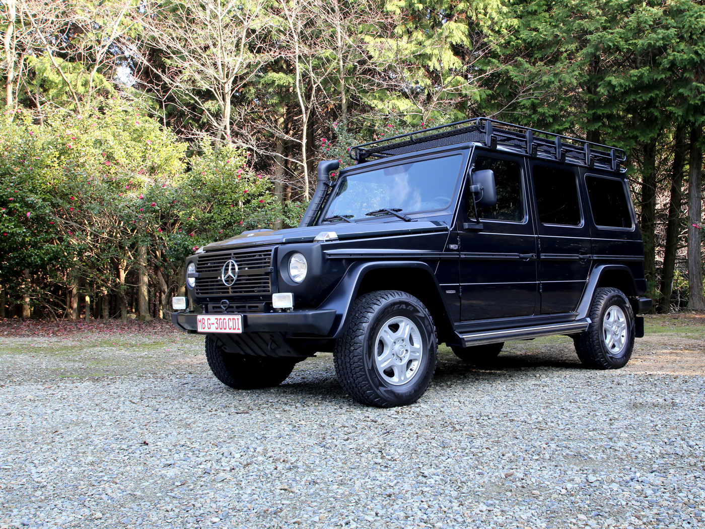 G300cdi Professional