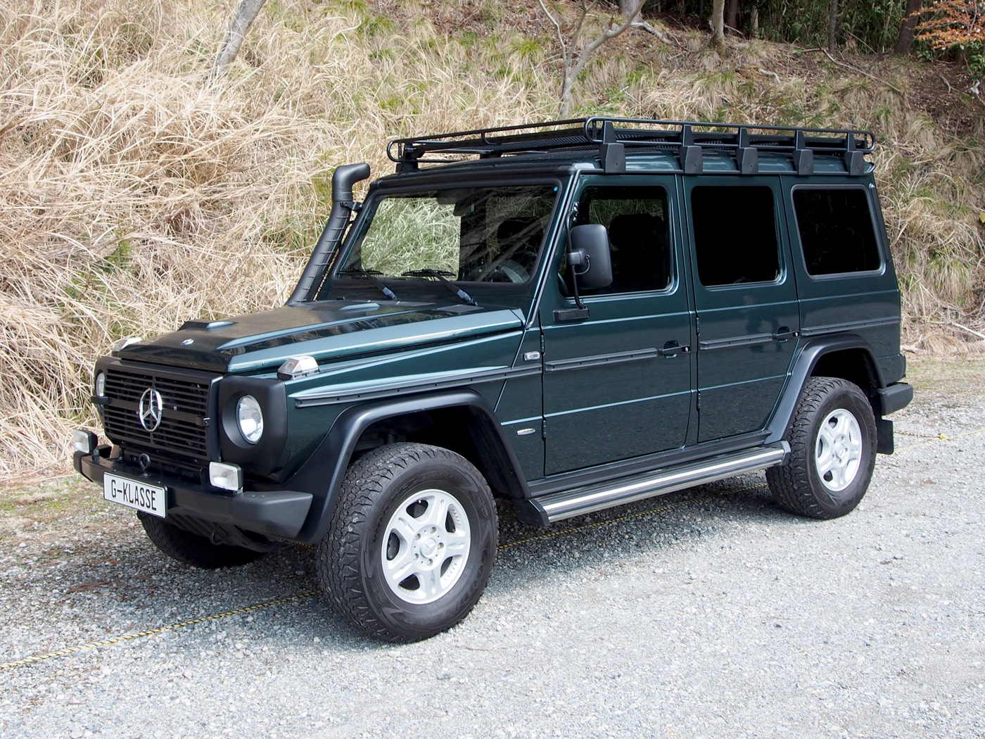 G300cdi Professional