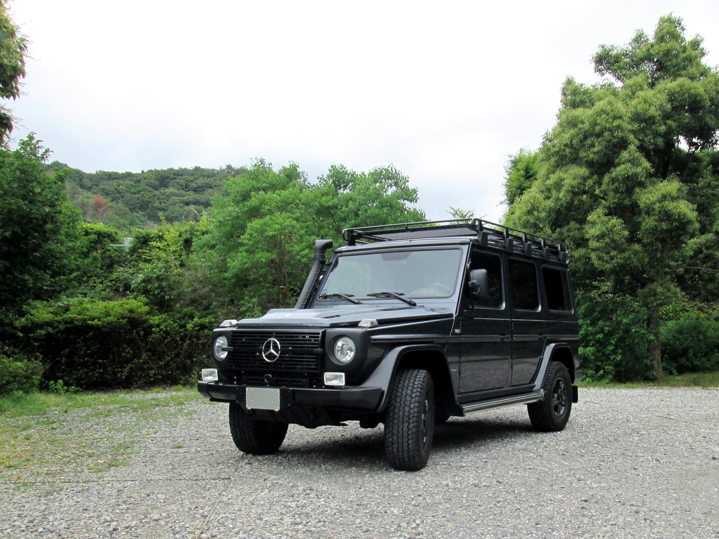 g300cdi Professional