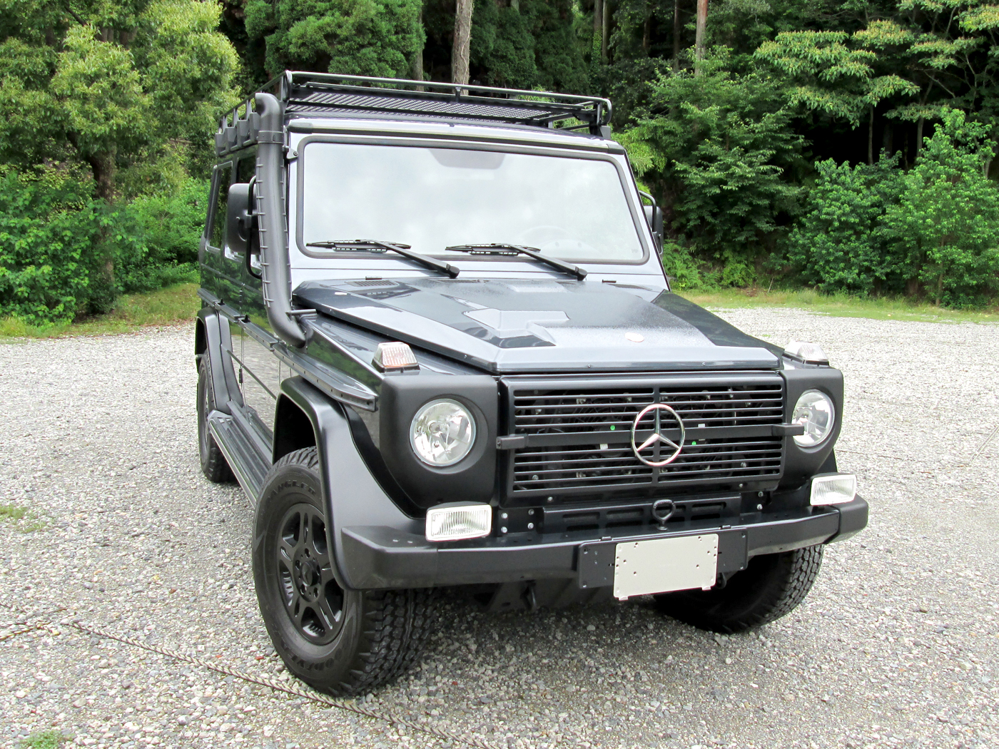 G300cdi Professional