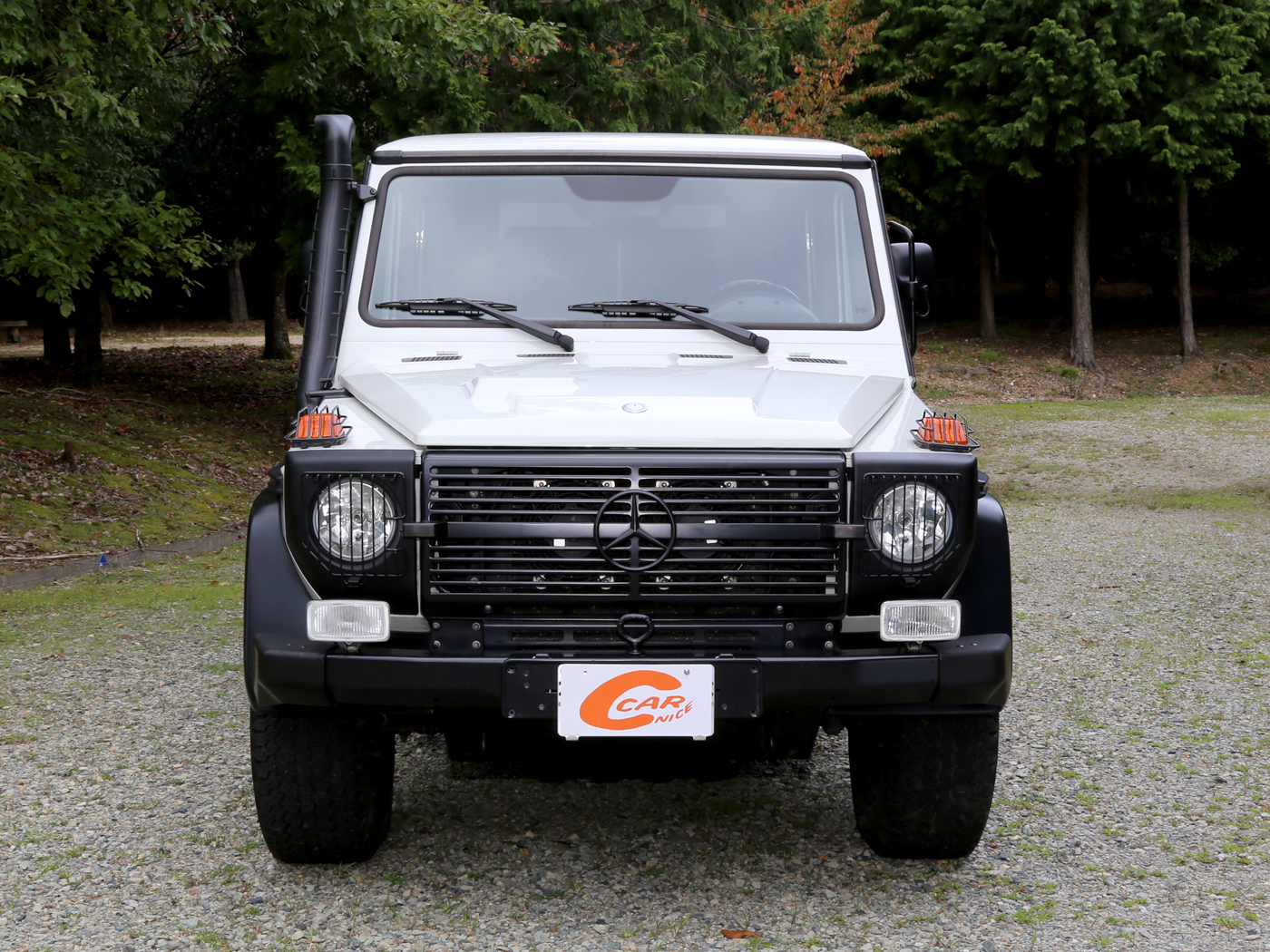 g300cdi Professional