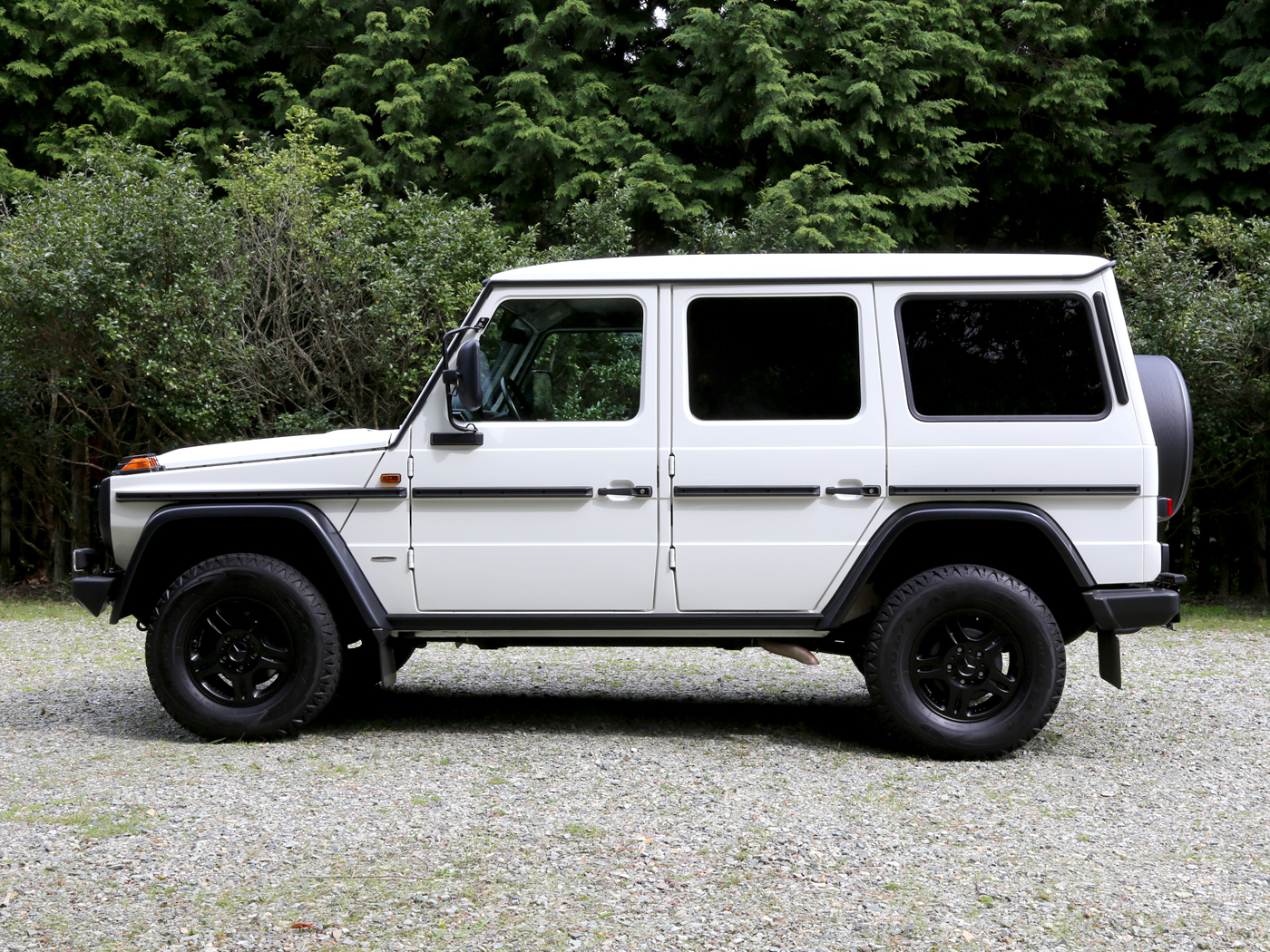 G300cdi Professional