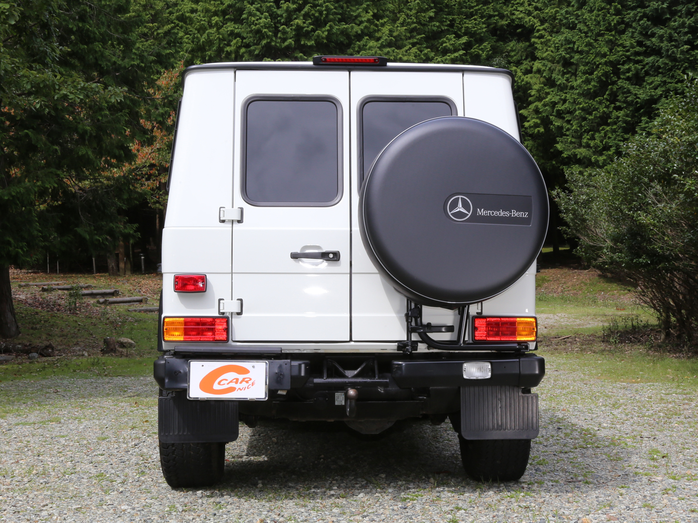 G300cdi Professional