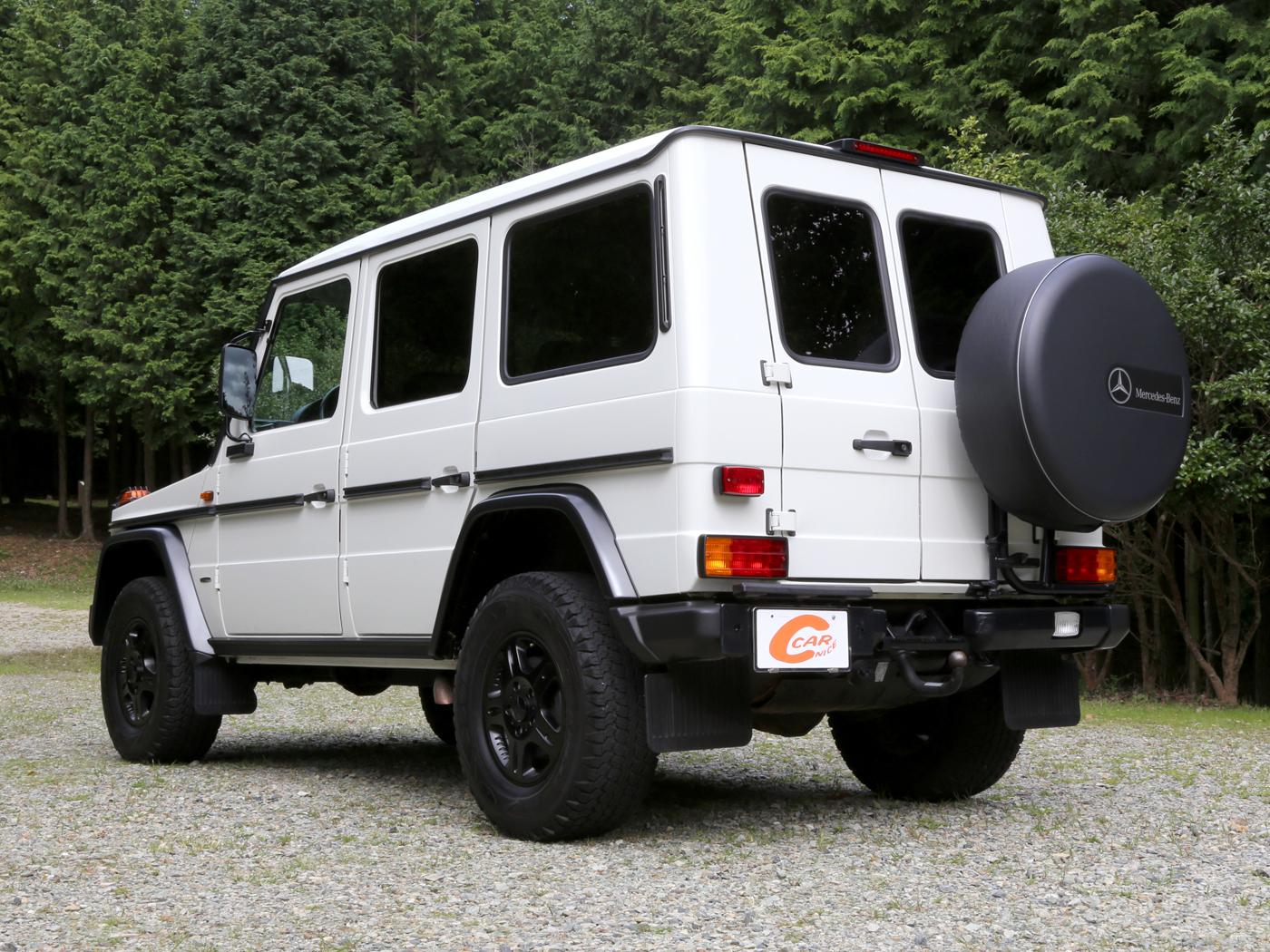 G300cdi Professional