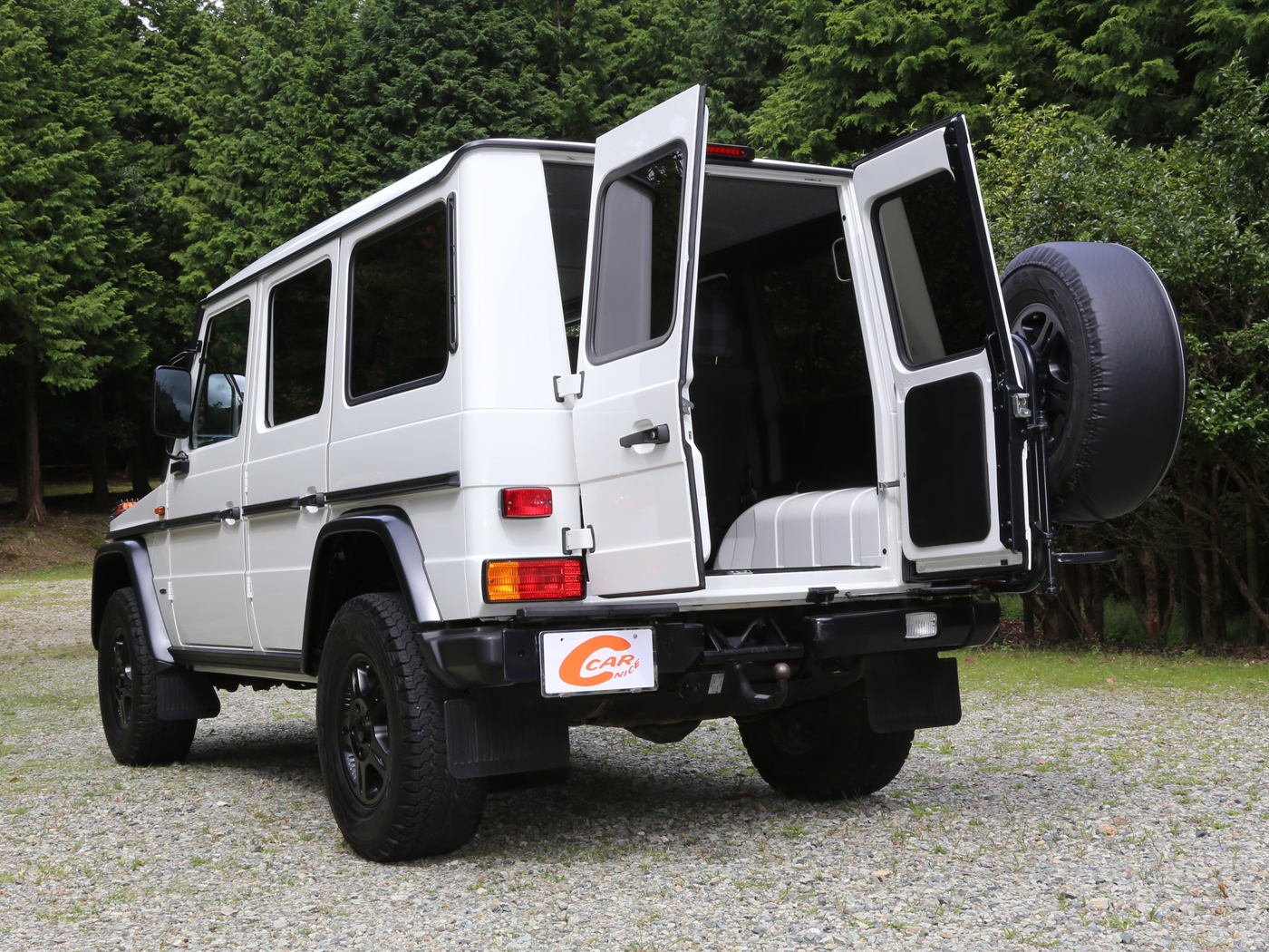 G300cdi Professional