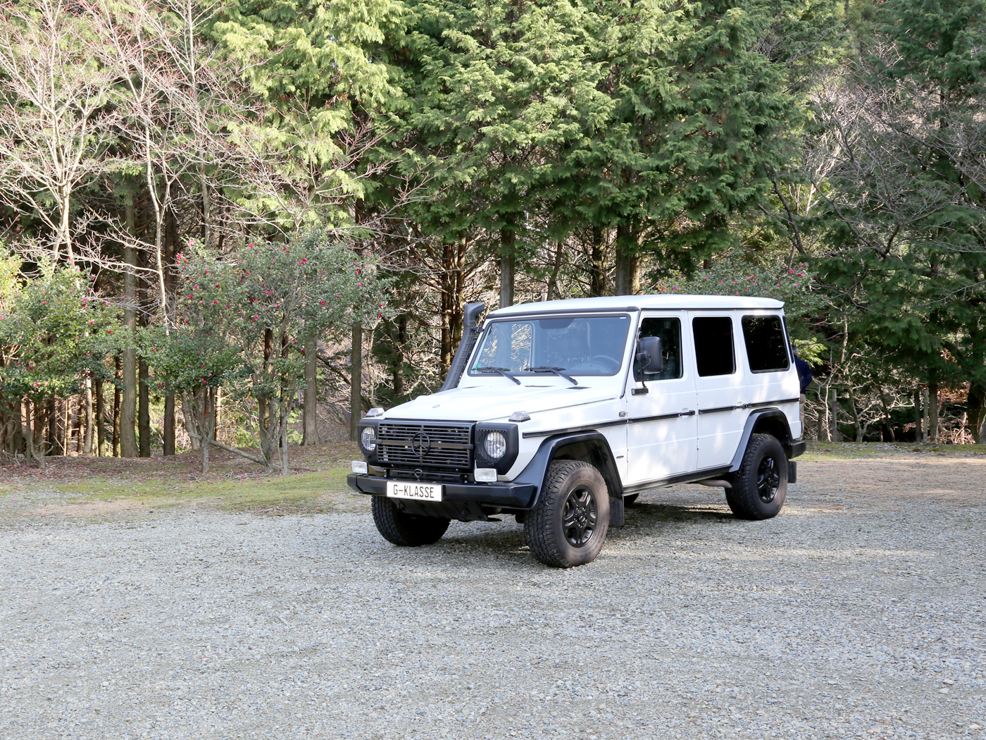 g300cdi Professional