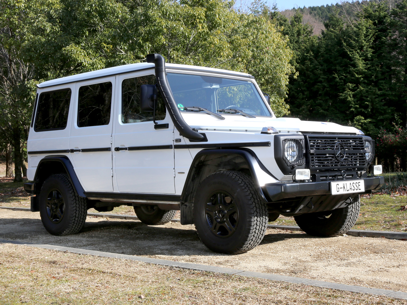 G300cdi Professional