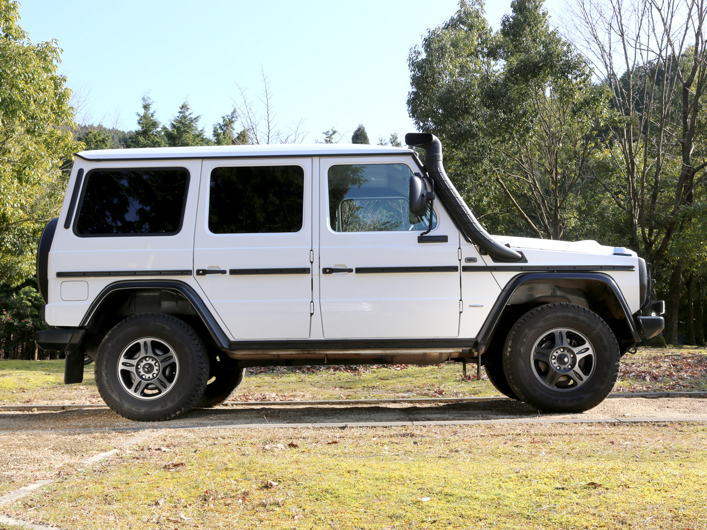 G300cdi Professional