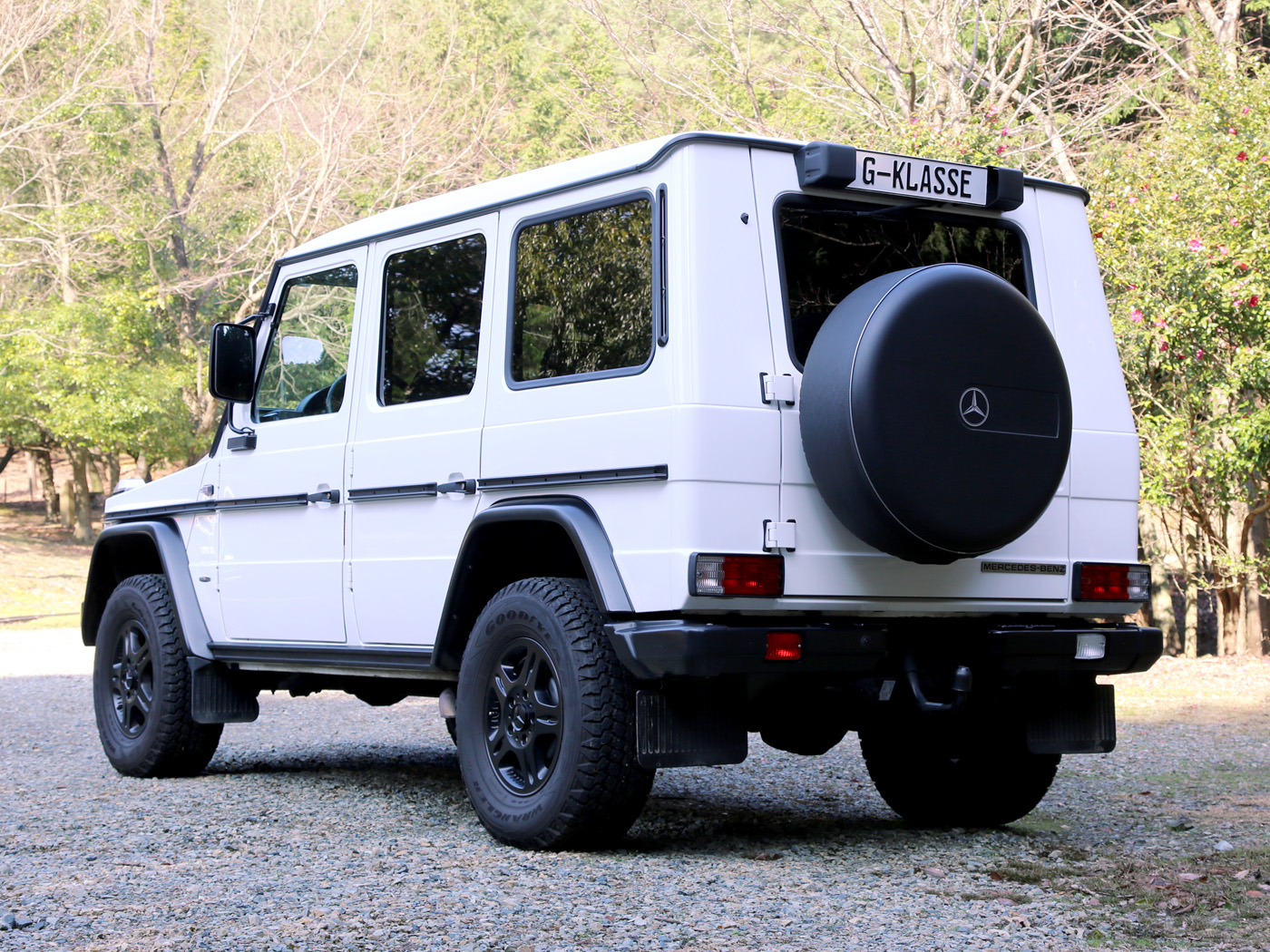 G300cdi Professional